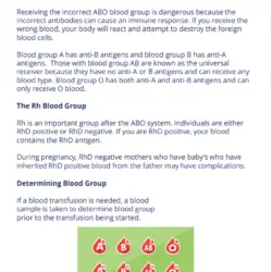 workbook-page-example-1.png